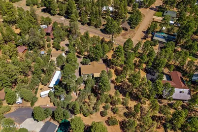 2884 Pine Rim Road, Overgaard, AZ 85933 - Photo 73