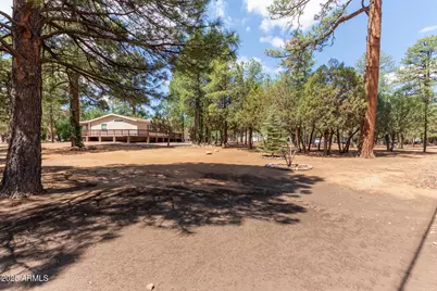 2884 Pine Rim Road, Overgaard, AZ 85933 - Photo 5
