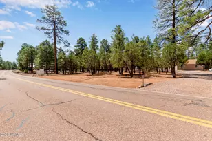 2884 Pine Rim Rd, Overgaard, AZ 85933 - Photo 41