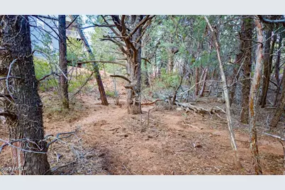 0 Drumecho Cir Lot 12 -- #12, Pine, AZ 85544 - Photo 17