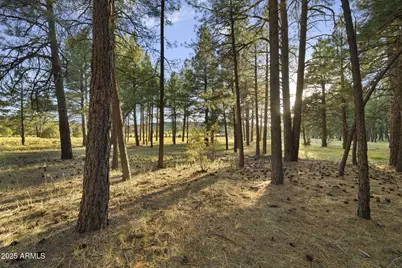 277 E Foxboro Ranch Road #6, Munds Park, AZ 86017 - Photo 5