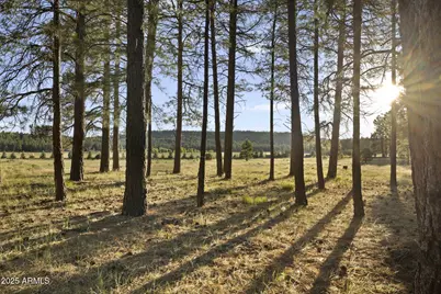 277 E Foxboro Ranch Road #6, Munds Park, AZ 86017 - Photo 3