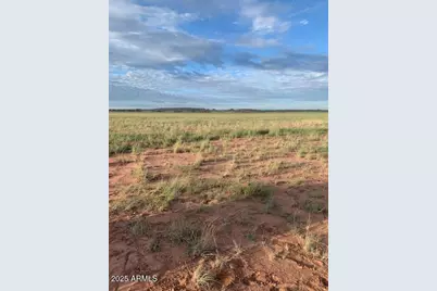 Tbd 45 Acres -- #28, Saint Johns, AZ 85936 - Photo 1