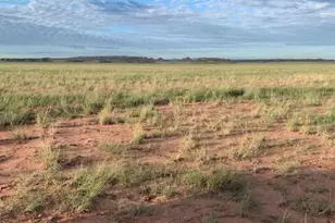Tbd 45 Acres --, Saint Johns, AZ 85936 - Photo 1