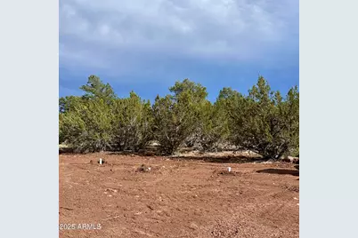 14 County Rd N3573 -- #028, Vernon, AZ 85940 - Photo 23