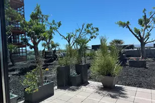 4808 N 24th St, Phoenix, AZ 85016 - Photo 17