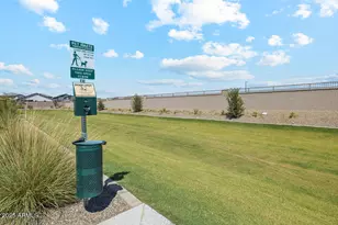 2487 E Rolling Prairie Ln, San Tan Valley, AZ 85140 - Photo 43