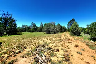 8571 Haven Crest Dr, Happy Jack, AZ 86024 - Photo 1