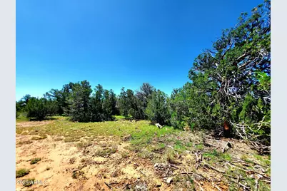 8571 Haven Crest Drive #229, Happy Jack, AZ 86024 - Photo 9