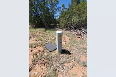 8571 Haven Crest Drive #229, Happy Jack, AZ 86024 - Photo 3