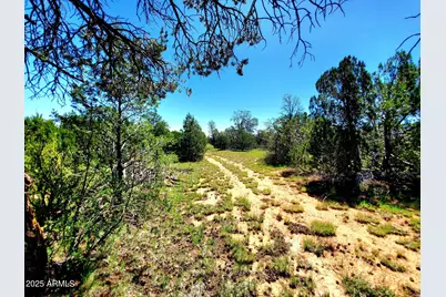 8571 Haven Crest Drive #229, Happy Jack, AZ 86024 - Photo 7