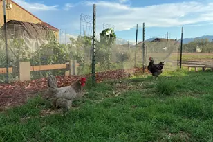 10379 E Blue Sky Vista, Hereford, AZ 85615 - Photo 59