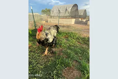 10379 E Blue Sky Vista, Hereford, AZ 85615 - Photo 61