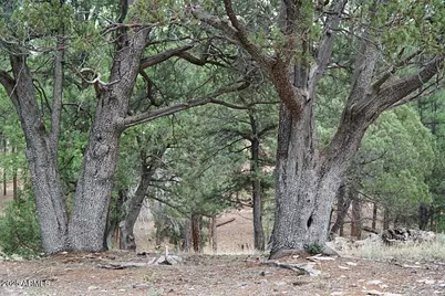 283 S Lookout Trail #44, Payson, AZ 85541 - Photo 7