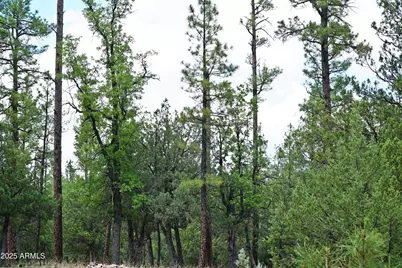 283 S Lookout Trail #44, Payson, AZ 85541 - Photo 9