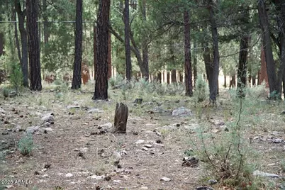 283 S Lookout Trail #44, Payson, AZ 85541 - Photo 5