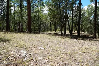 283 S Lookout Trail #44, Payson, AZ 85541 - Photo 1