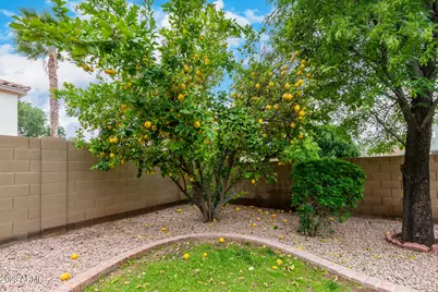 363 W Myrtle Drive, Chandler, AZ 85248 - Photo 49