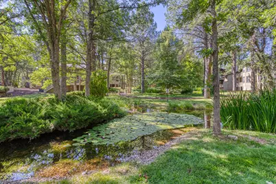 3651 Crown Dancer Drive #8A, Pinetop, AZ 85935 - Photo 33