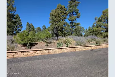 7267 Red Feather Court, Happy Jack, AZ 86024 - Photo 7