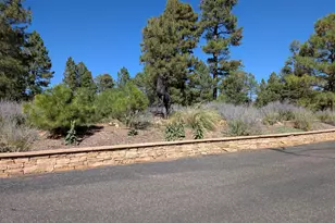 7267 Red Feather Ct, Happy Jack, AZ 86024 - Photo 7