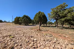 7267 Red Feather Ct, Happy Jack, AZ 86024 - Photo 9
