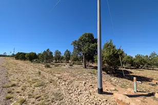 7267 Red Feather Ct, Happy Jack, AZ 86024 - Photo 11