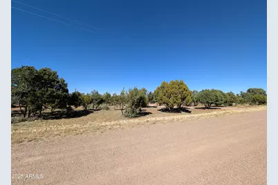 7267 Red Feather Court, Happy Jack, AZ 86024 - Photo 15