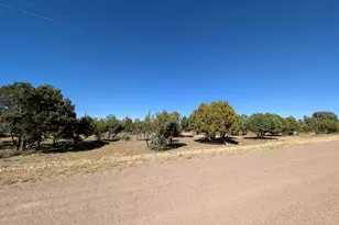 7267 Red Feather Ct, Happy Jack, AZ 86024 - Photo 15