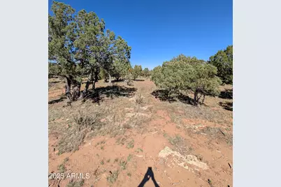 7267 Red Feather Court, Happy Jack, AZ 86024 - Photo 17