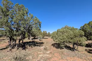 7267 Red Feather Ct, Happy Jack, AZ 86024 - Photo 17