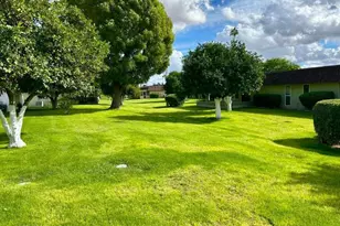 10009 W Pleasant Valley Rd, Sun City, AZ 85351 - Photo 23