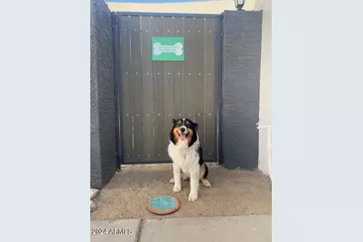 4229 N 17th Street, Phoenix, AZ 85016 - Photo 19