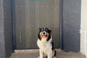 4229 N 17th St, Phoenix, AZ 85016 - Photo 19