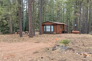 2117 Joe Springs Dr, Forest Lakes, AZ 85931 - Photo 1