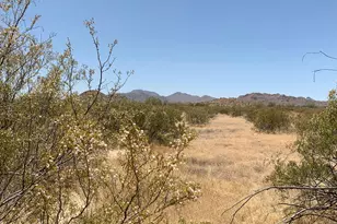 0001 W Whirly Bird Lot 4 Rd, Maricopa, AZ 85139 - Photo 1