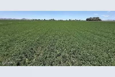 0 W Desert Rose Road #-, Arlington, AZ 85322 - Photo 7