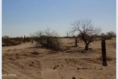 1.25 E Tbd-Cactus Forest & N. Reed Road #3, Florence, AZ 85132 - Photo 5