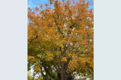 1309 W Mackenzie Drive, Phoenix, AZ 85013 - Photo 39