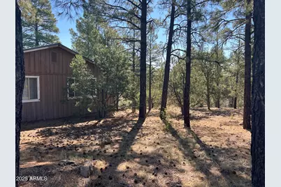 201 S 6th Place, Show Low, AZ 85901 - Photo 7