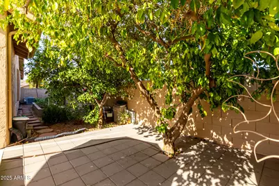 277 W Oxford Lane, Gilbert, AZ 85233 - Photo 31