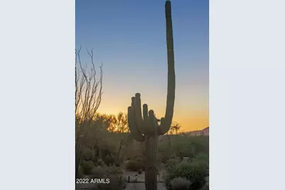 10448 E Skinner Drive, Scottsdale, AZ 85262 - Photo 59