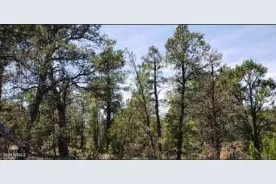 5113 Sunset Ridge Loop #187, Happy Jack, AZ 86024 - Photo 7