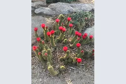 7660 E McKellips Road #24, Scottsdale, AZ 85257 - Photo 13