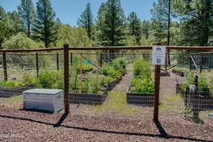 4696 W Tatanka Loop, Show Low, AZ 85901 - Photo 43