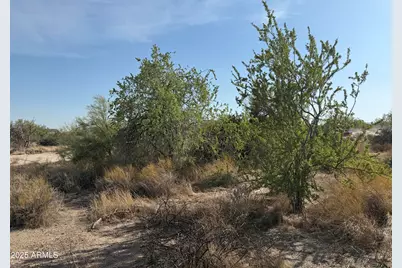 161Xx E Dixileta Drive #-â€˜, Scottsdale, AZ 85262 - Photo 5