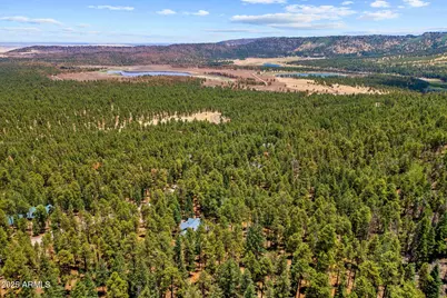 30 County Road N1068 --, Greer, AZ 85927 - Photo 49