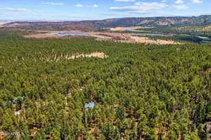 30 County Road N1068 --, Greer, AZ 85927 - Photo 49