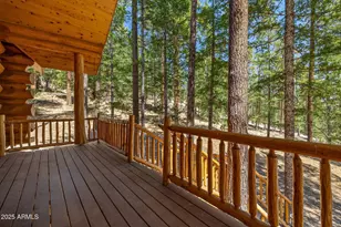 30 County Road N1068 --, Greer, AZ 85927 - Photo 9