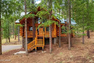 30 County Road N1068 --, Greer, AZ 85927 - Photo 3